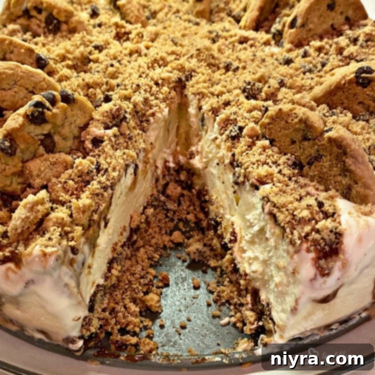 Inside view of the Chocolate Chip Cookie Dough Ice Cream Cake with crumb crust.