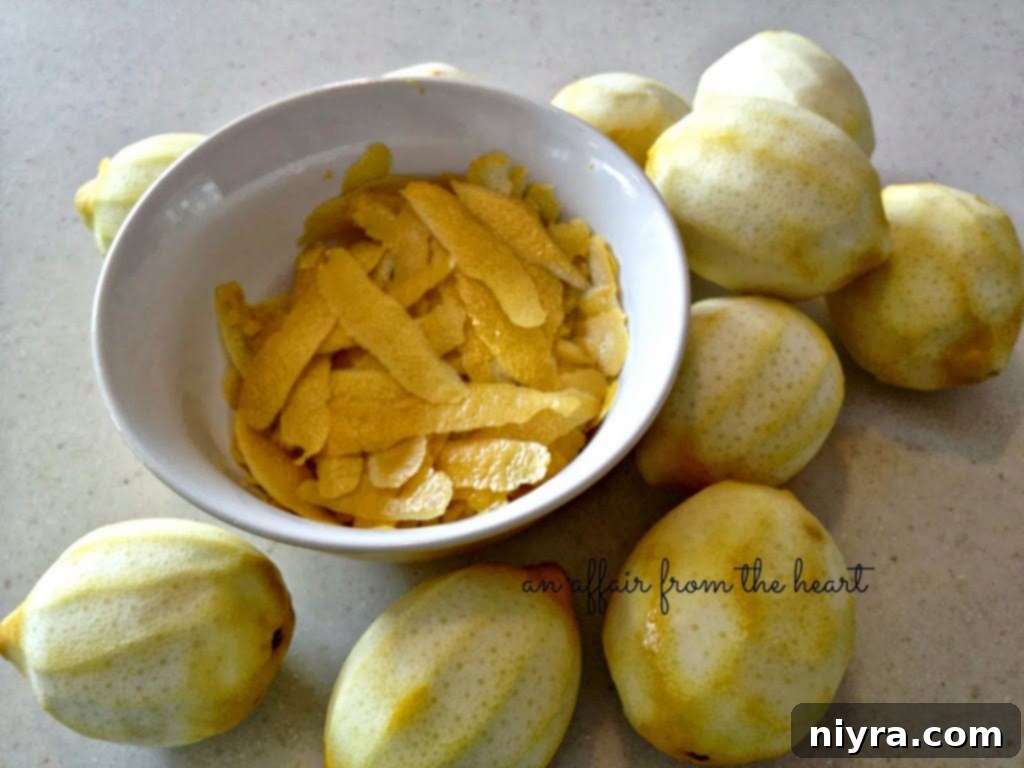 Freshly peeled lemon zest soaking in vodka in a glass jar, the beginning of the Limoncello infusion process.