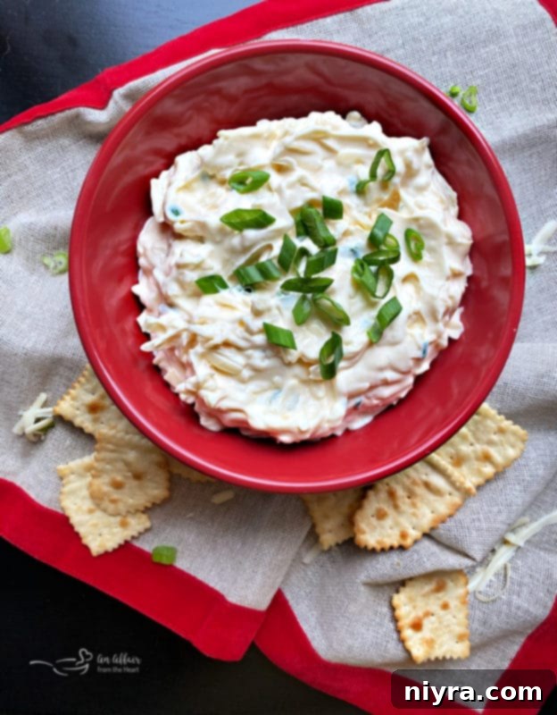 Swiss Cheese Dip served in a red bowl with crackers and vegetables