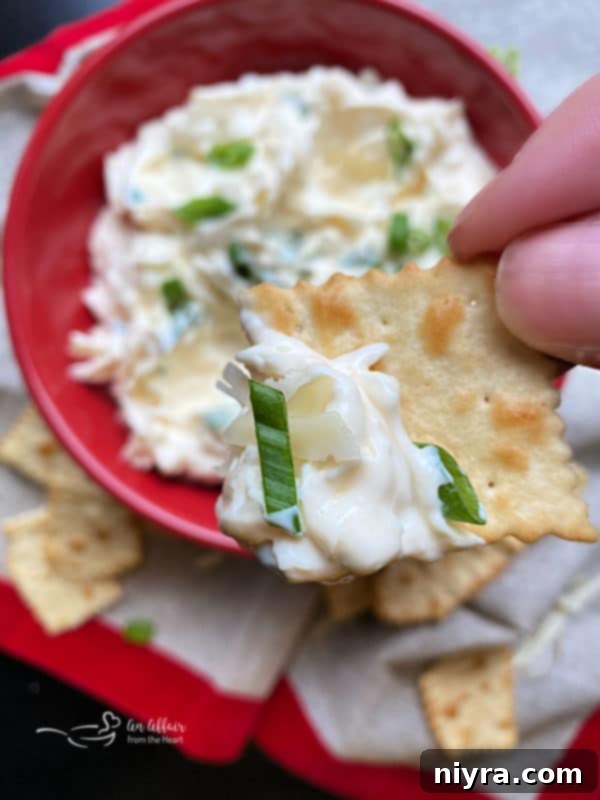 Close-up of Swiss Cheese Dip in a bowl with a spoon