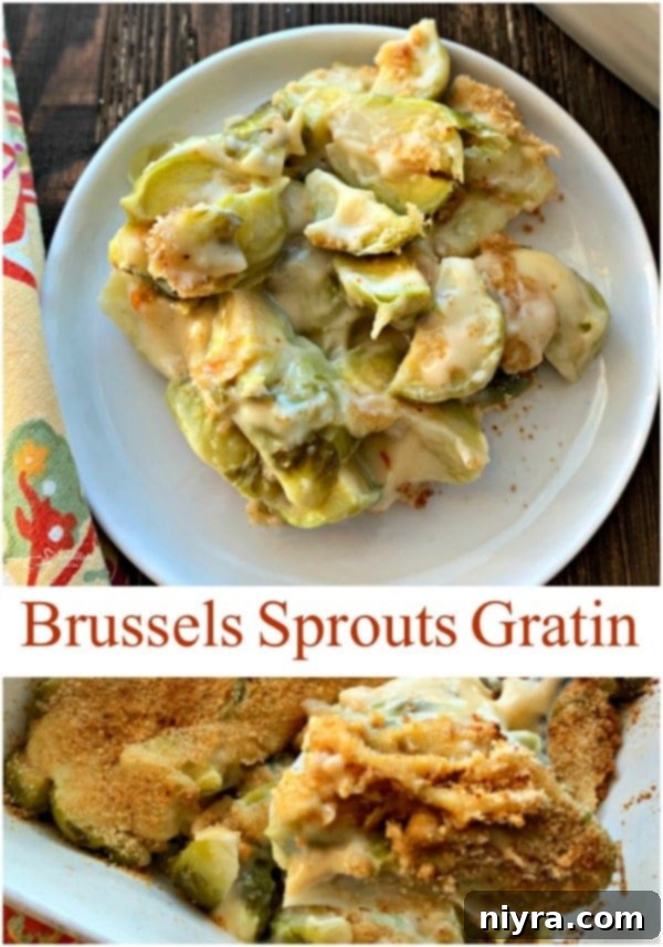 Close-up of baked Brussels Sprouts Gratin with golden breadcrumb topping