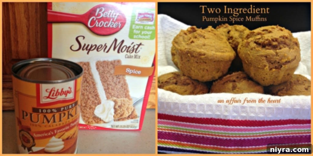 Delicious two-ingredient pumpkin spice muffins ready to be served
