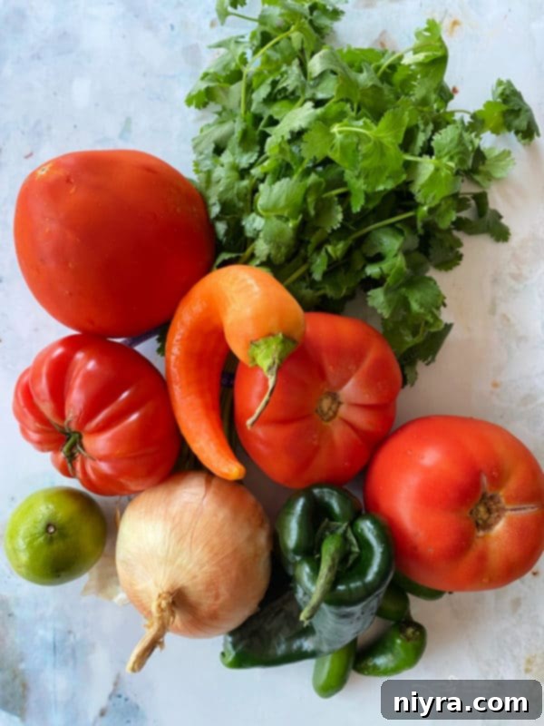 Fresh Tomato Salsa 3 Overhead view of various fresh ingredients for Pico de Gallo, including tomatoes, onions, jalapenos, and cilantro.