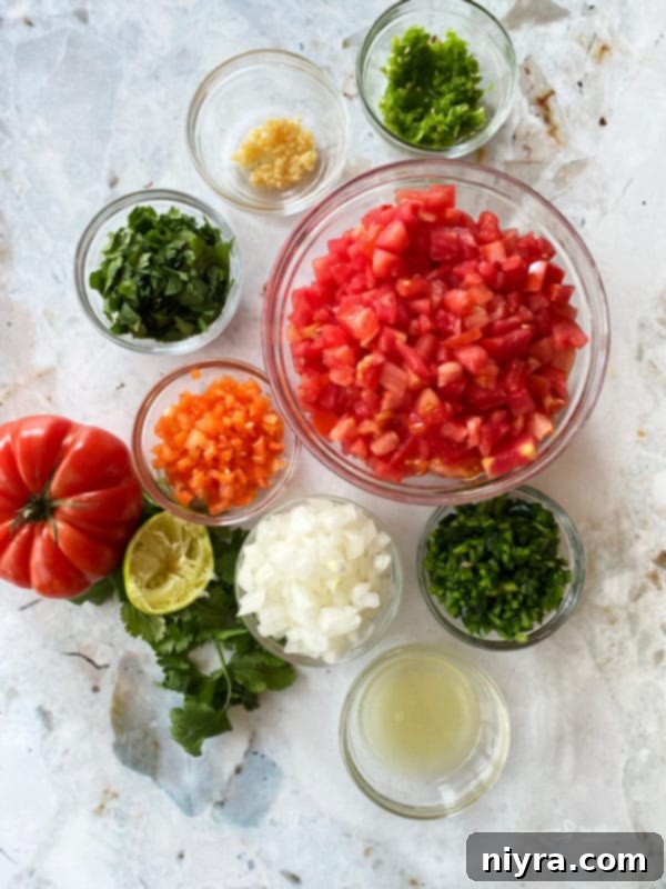 Fresh Tomato Salsa 4 A large bowl of freshly made Pico de Gallo, with a serving spoon resting inside.