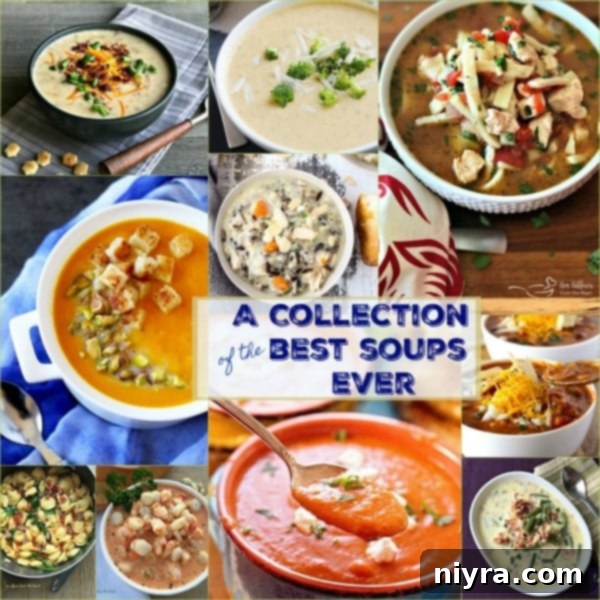 A heartwarming collection of the best soup recipes for National Soup Month