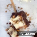 Top view of Buster Bars