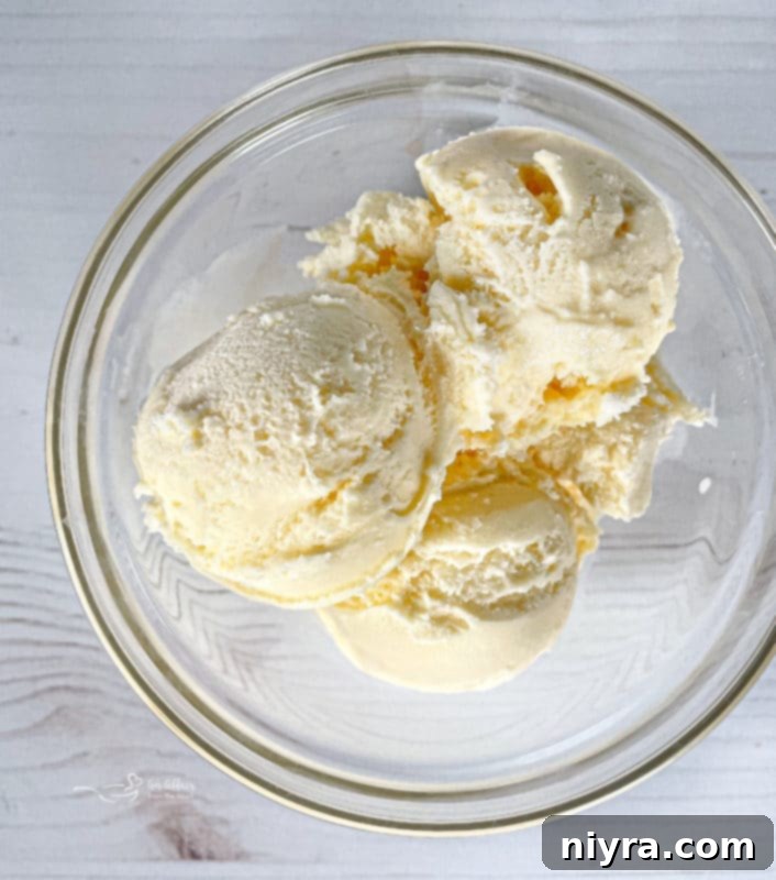 One bowl of creamy vanilla ice cream, ready to be transformed into Buster Bars.
