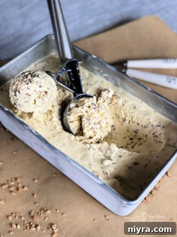 Close-up of a serving of Jamaican Grape Nut Ice Cream, showing the cereal flecks.