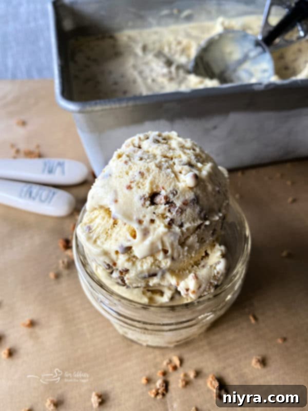 Scoops of Grape Nut Ice Cream served in a bowl, ready to enjoy.
