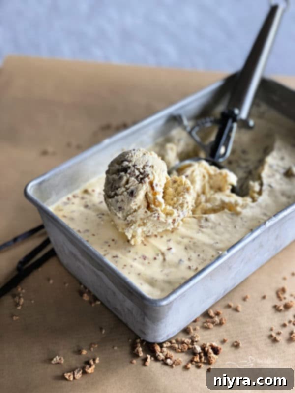 A bowl of Grape Nut Ice Cream ready to be shared.