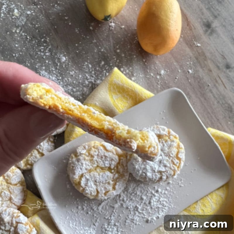 Close-up of chewy, delicious Lemon Whippersnappers