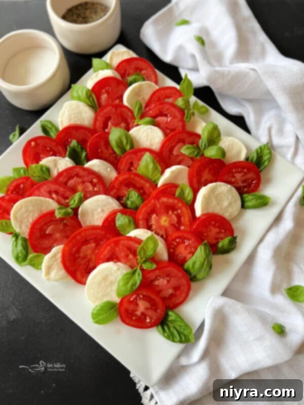 Arranging overlapping slices of Caprese ingredients