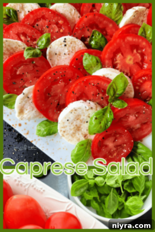 Close up of a vibrant Caprese salad on a white plate