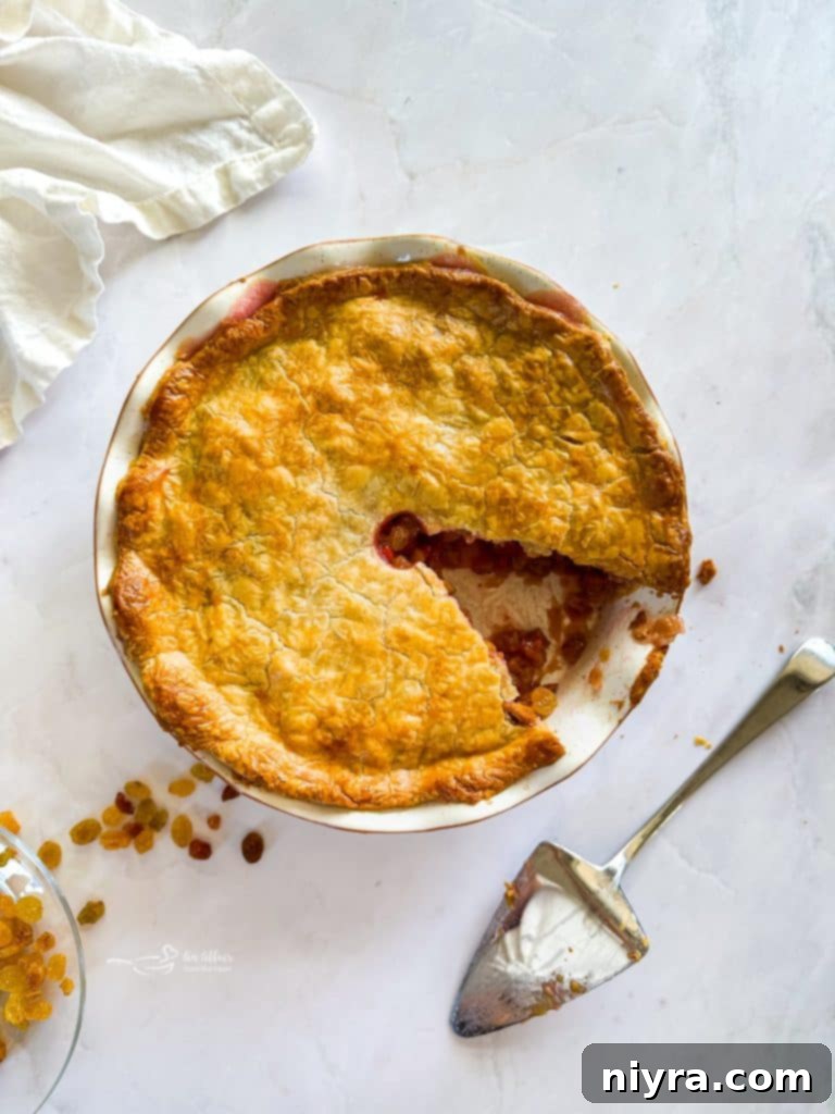Old-Fashioned Rhubarb Pie 6 Freshly prepared rhubarb and raisin pie filling