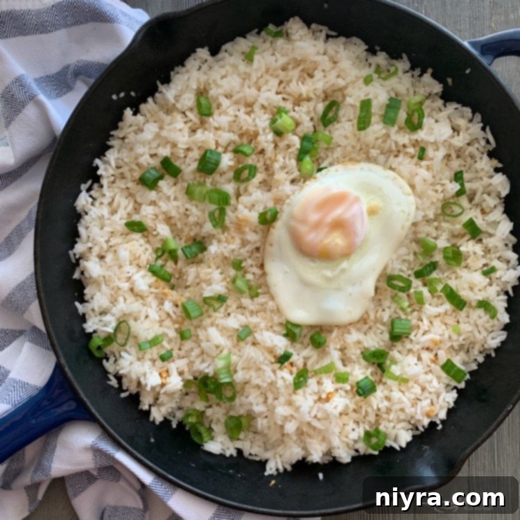 Basic Garlic Fried Rice topped with a perfectly fried egg and green onions
