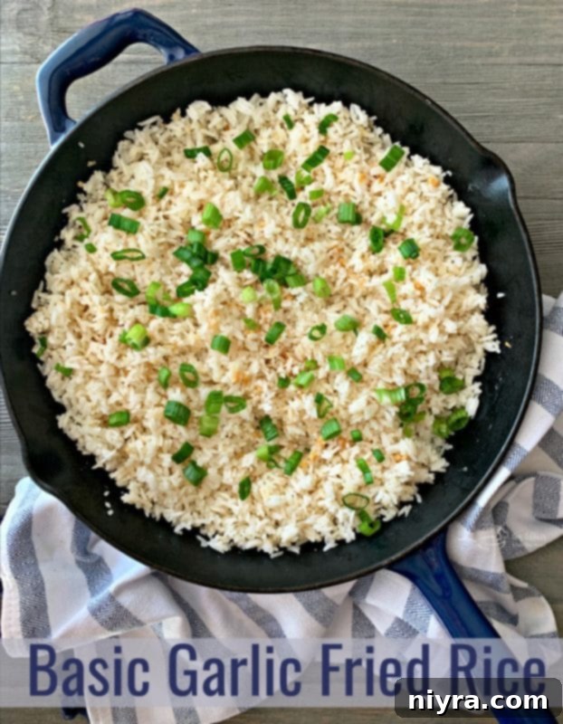 Hero shot of a freshly prepared bowl of Basic Garlic Fried Rice