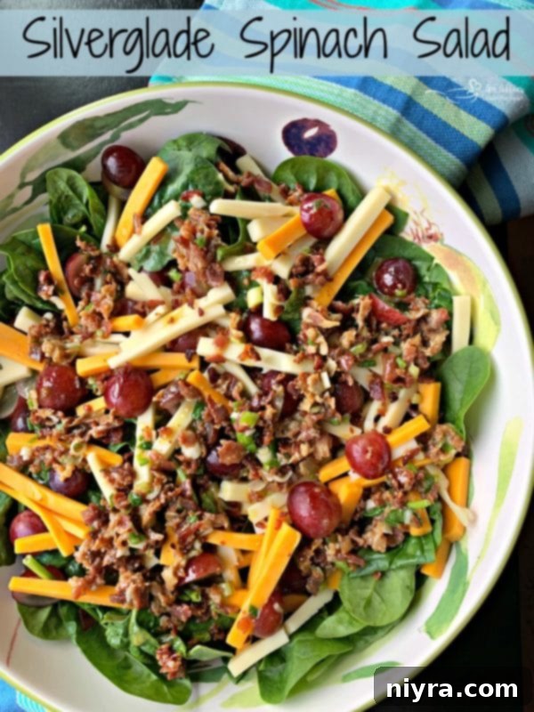 Silverglade Harvest Spinach Salad 8 Hero shot of the Silverglade Spinach Salad, beautifully presented and ready to eat