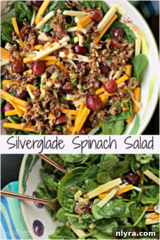 Silverglade Harvest Spinach Salad 3 A vibrant Silverglade Spinach Salad with an array of fresh ingredients including spinach, grapes, and two types of cheese
