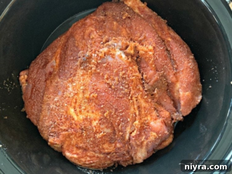 Crock Pot Pulled Pork with Dorothy Lynch Cole Slaw