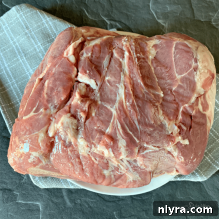 Crock Pot Pulled Pork with Dorothy Lynch Cole Slaw