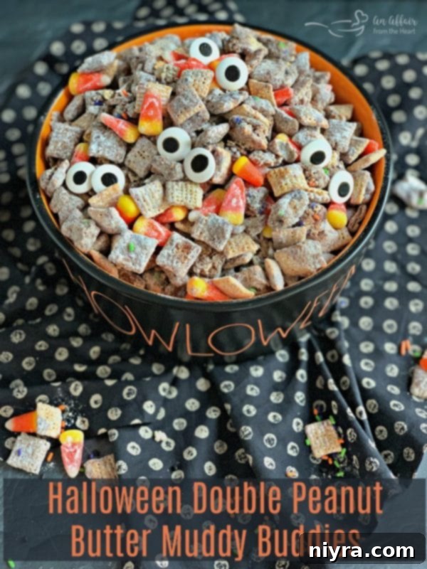 Halloween Double Peanut Butter Muddy Buddies HERO