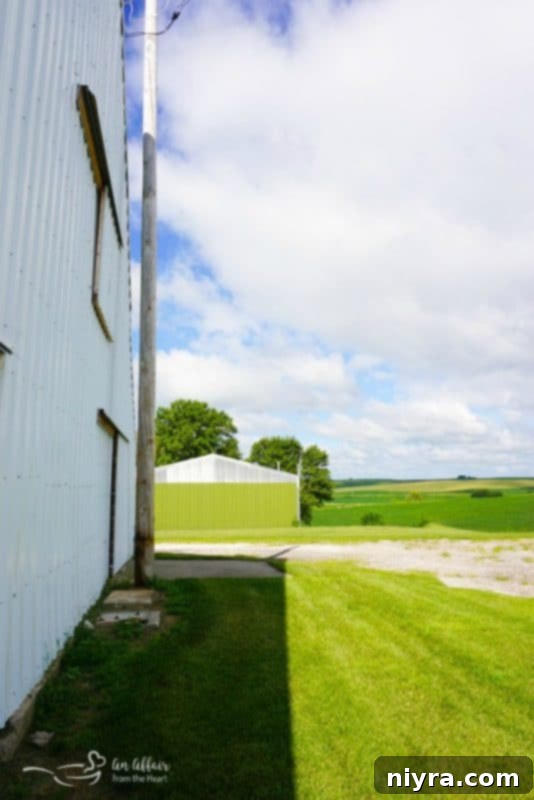 A scenic view of a farm in Earling, Iowa, with fields and outbuildings.
