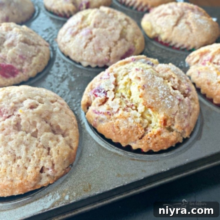 A baking tray filled with perfectly golden-brown Cranberry Orange Muffins, fresh out of the oven