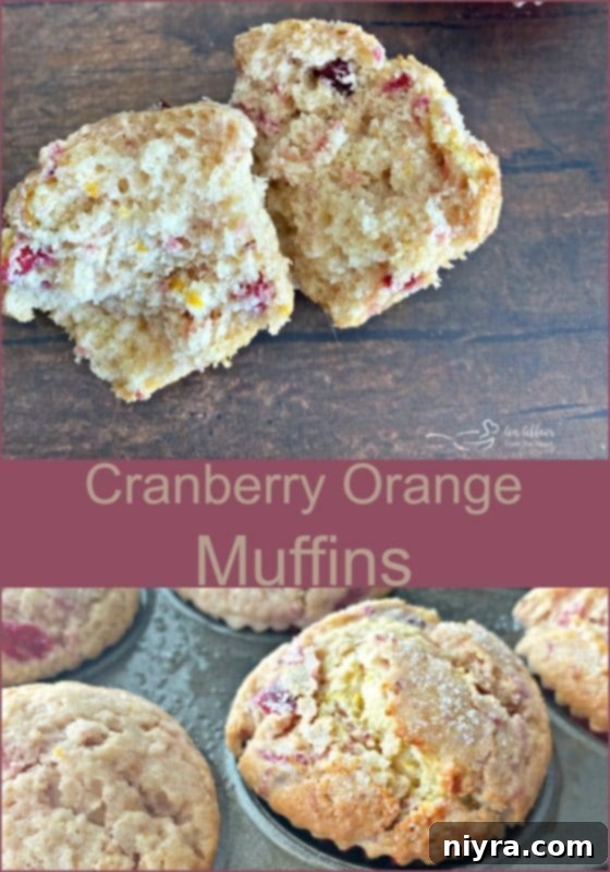 A beautifully plated Cranberry Orange Muffin, showcasing its bakery-style perfection and inviting appeal