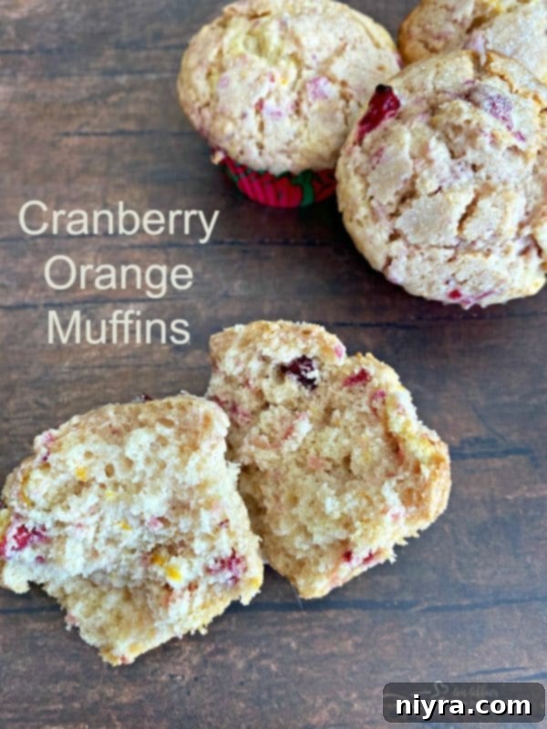Hero shot of Cranberry Orange Muffins, inviting bakers to try the recipe and enjoy the flavors