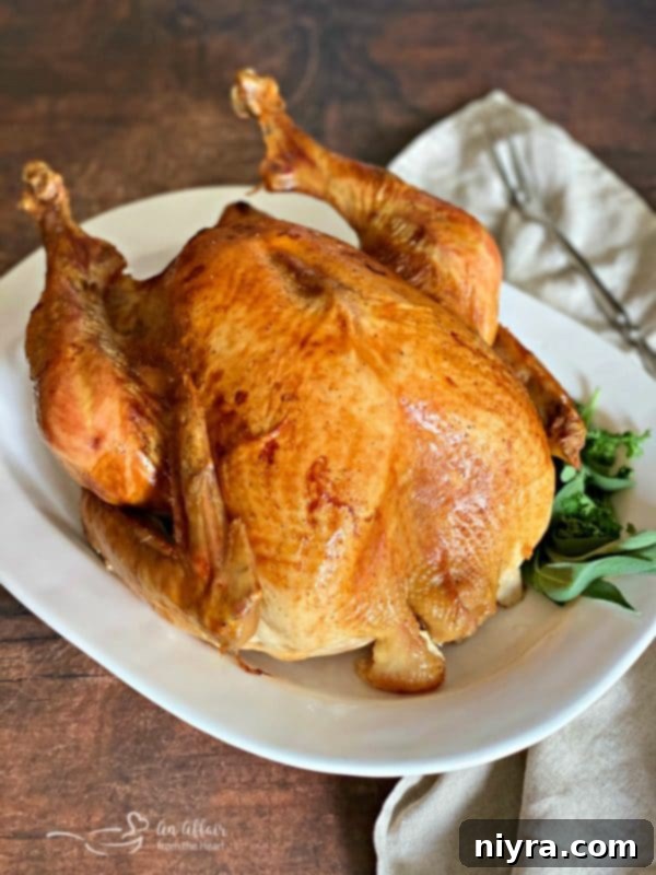 Perfect Turkey for Holiday Meals