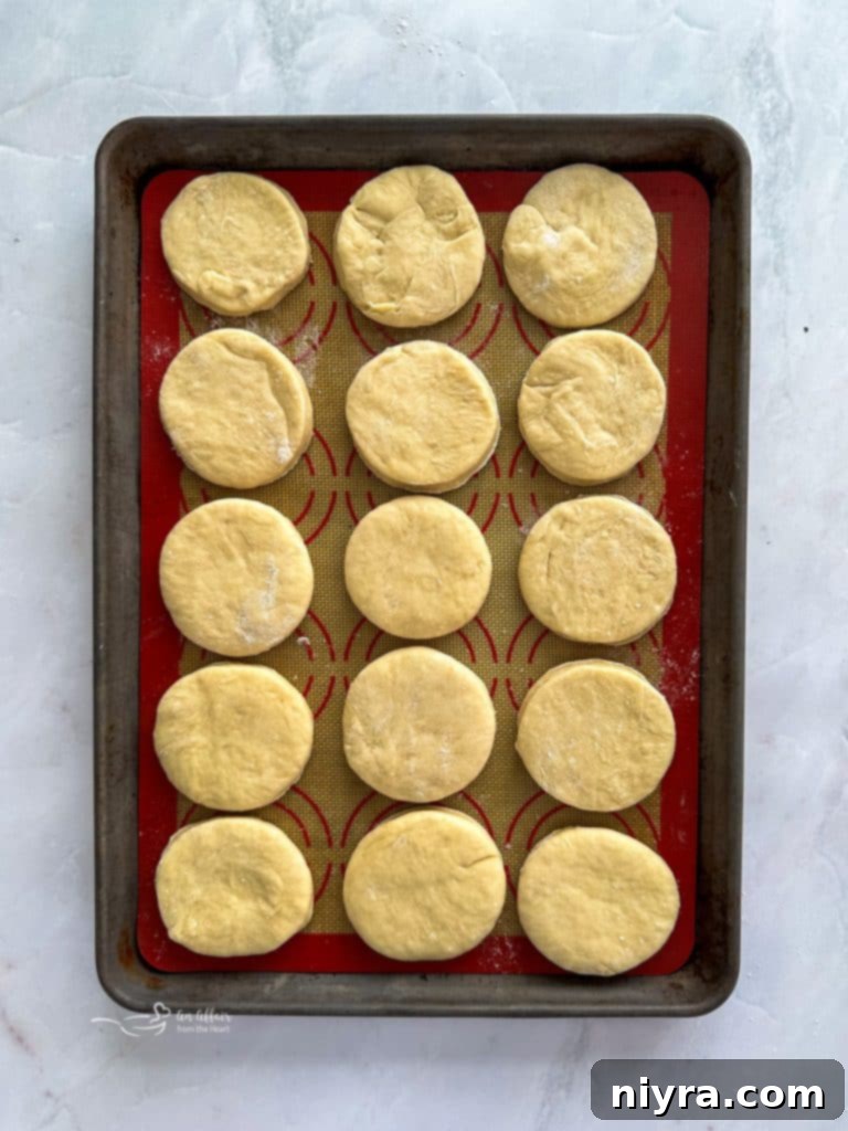 Pączki: The Ultimate Polish Donuts Video 11 Paczki dough being rolled out and cut into circles with a biscuit cutter on a floured surface.