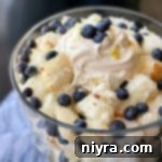 Bright Lemon Blueberry Trifle 11 close up Lemon Blueberry Trifle