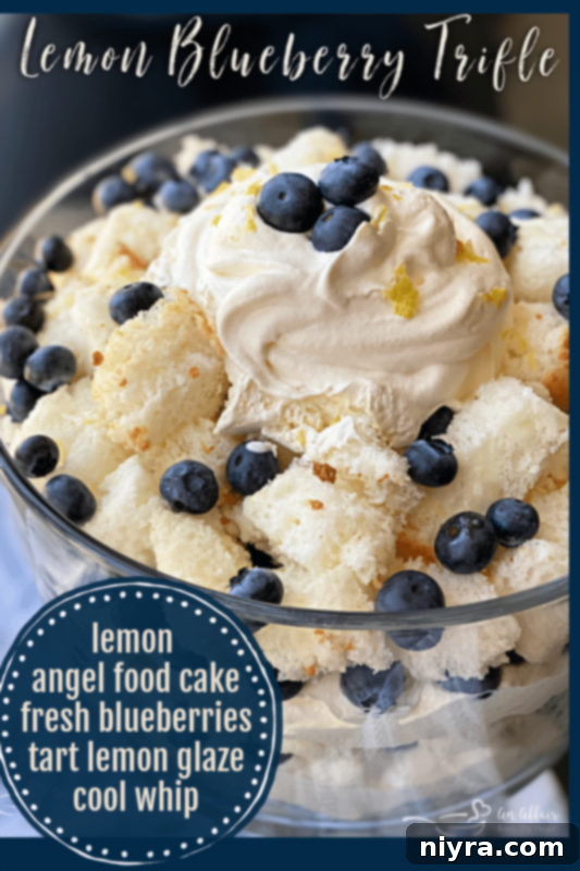 Bright Lemon Blueberry Trifle 6 Image of Churro Chex Mix - a separate recipe by An Affair from the Heart