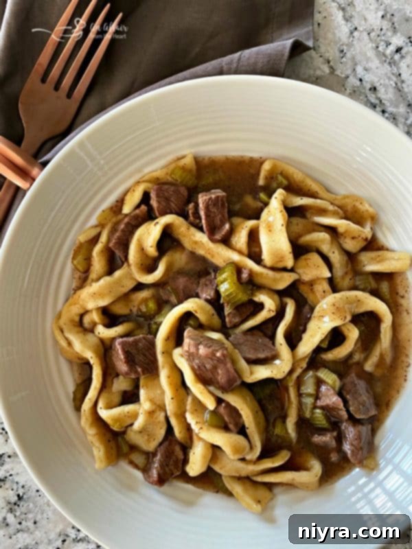 beef noodles in a bowl