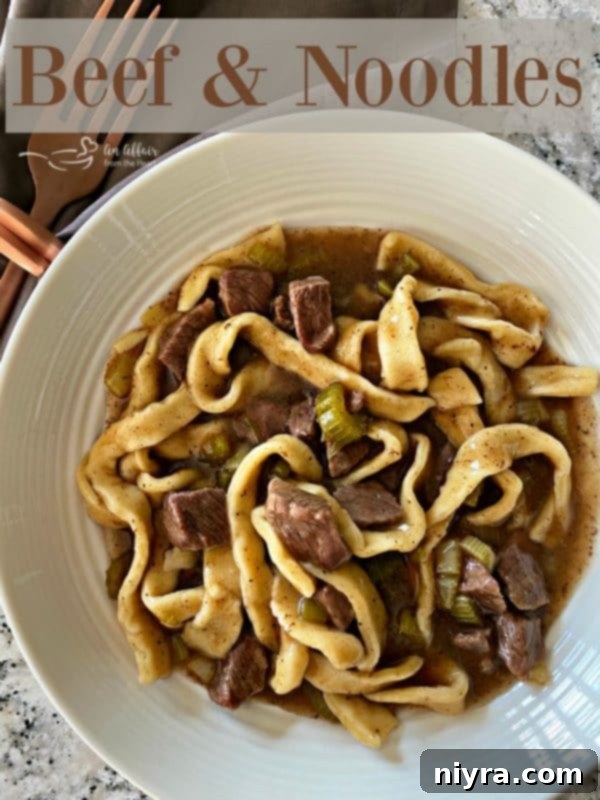 beef noodles pinterest promo graphic