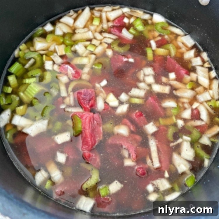 beef and vegetables cooking in pot