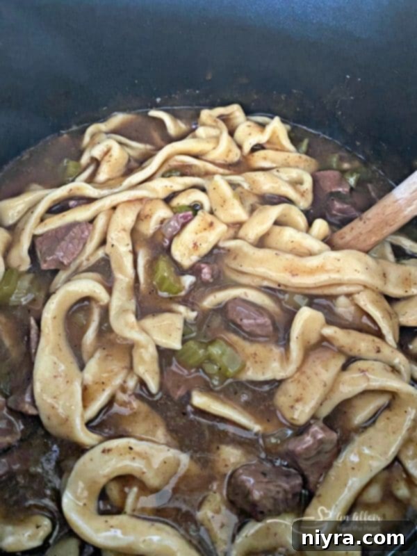 close up view of beef and noodles