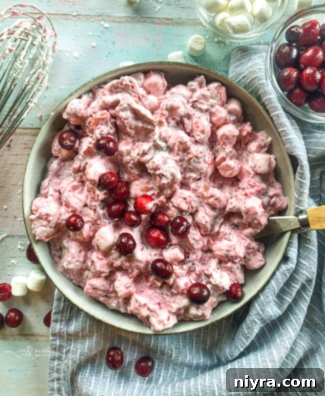 Close-up of Cranberry Fluff Salad, a sweet and tart holiday dessert salad.