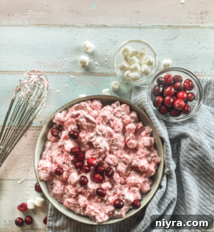 A bowl of Cranberry Fluff Salad, garnished and ready to serve.