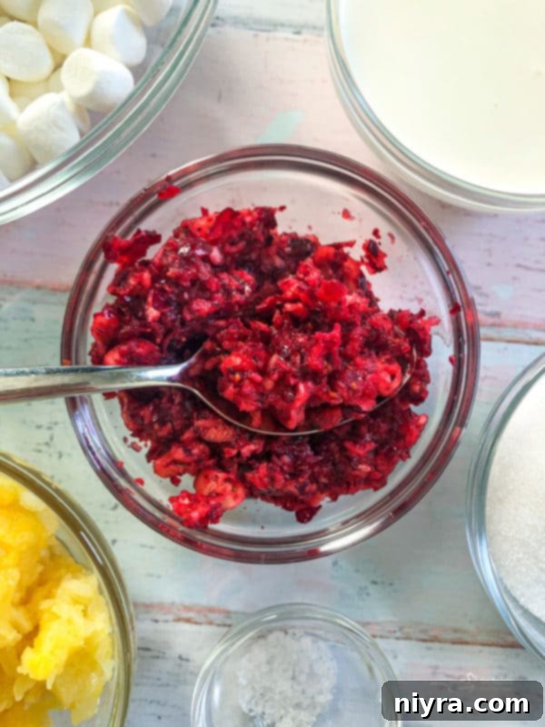 Fresh cranberries being ground in a food processor.