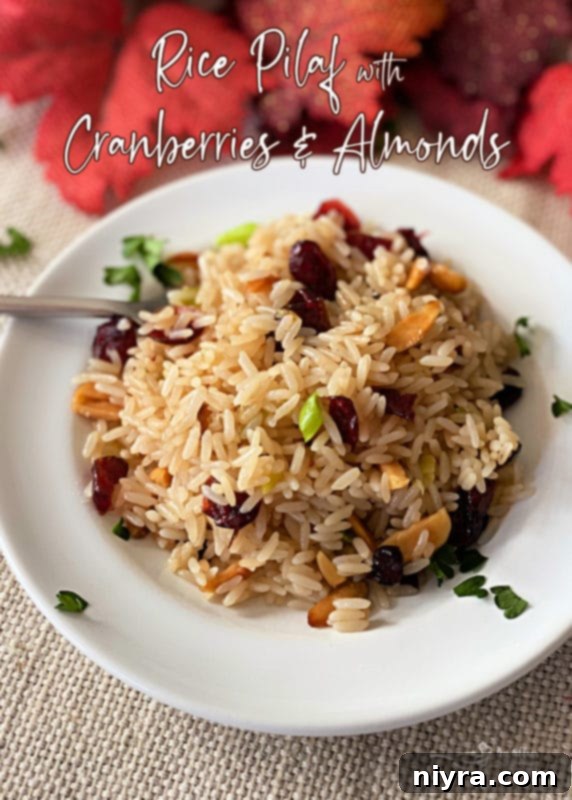 A beautifully presented bowl of Rice Pilaf with Cranberries and Almonds.