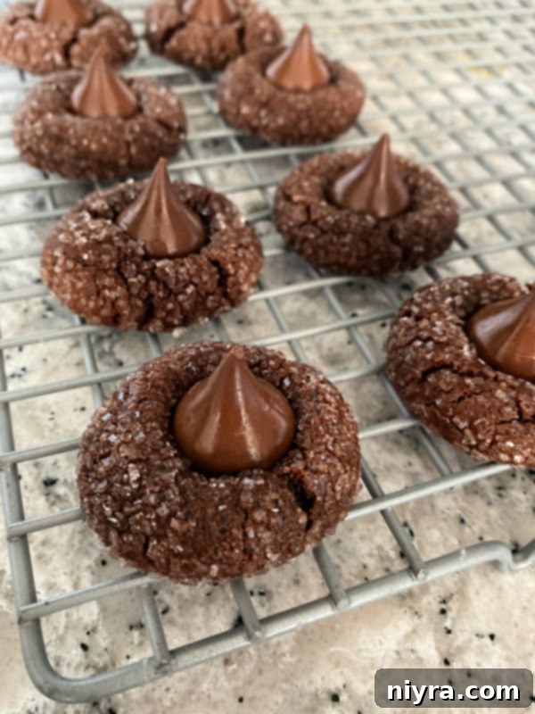 Freshly baked Chocolate Sugar Kiss Cookies on a cookie sheet, with Hershey's Kisses being pressed into their centers while still warm.