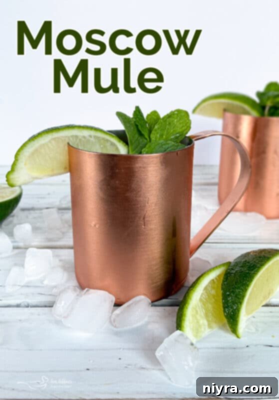 Copper Kick Refresher 11 Another view of a Moscow Mule cocktail