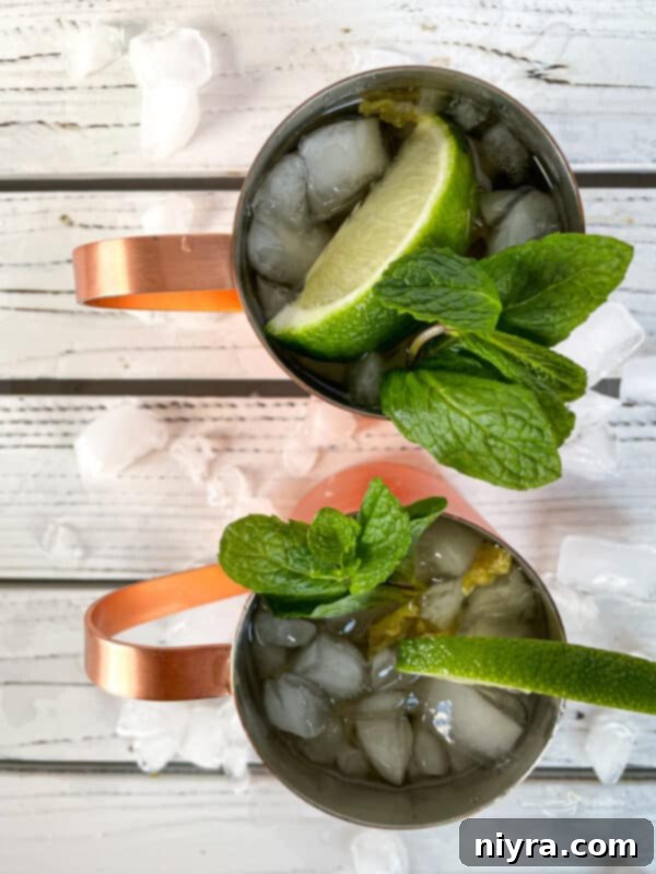 Copper Kick Refresher 6 How to make a Moscow Mule