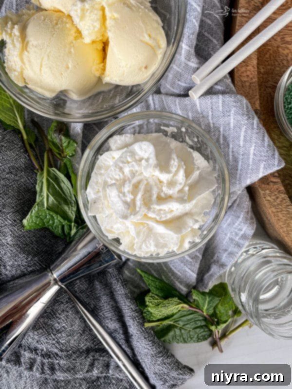 Emerald Dream 5 Blender with ingredients for a Grasshopper Cocktail: ice cream, creme de menthe, and creme de cacao.