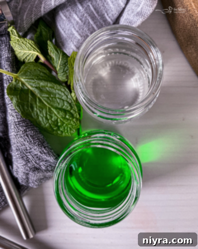 Emerald Dream 6 Vanilla ice cream, green creme de menthe, and creme de cacao ready to be blended.