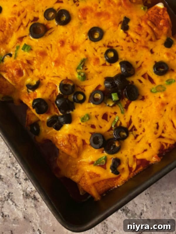 A close-up of a homemade Enchirito, highlighting the texture of the tortilla, the melted cheese, and the vibrant red sauce, with a hint of the filling visible.