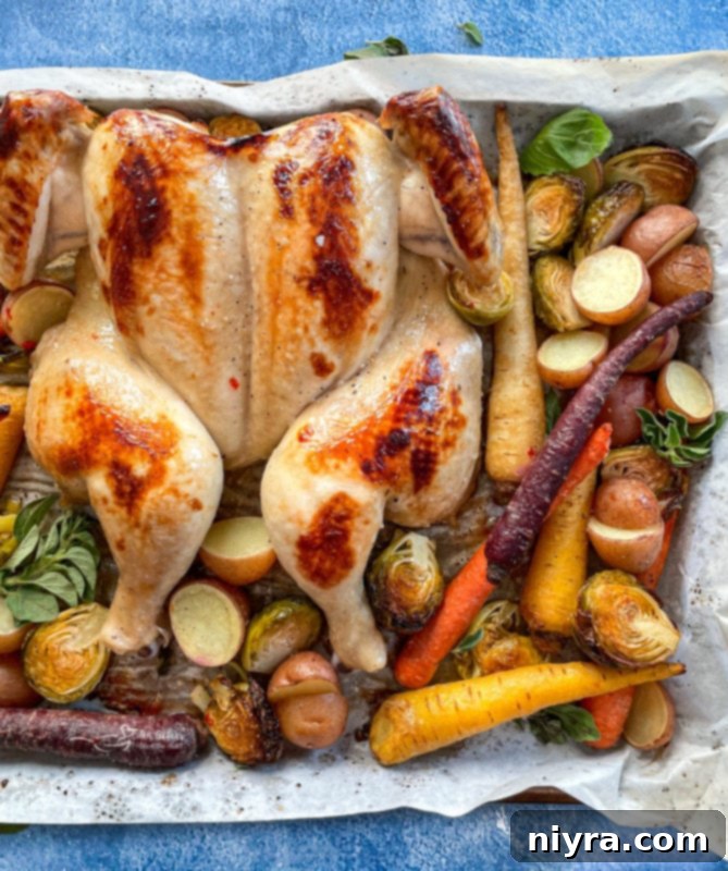 Top view of spatchcock chicken on baking sheet with carrots, potatoes, and Brussels sprouts