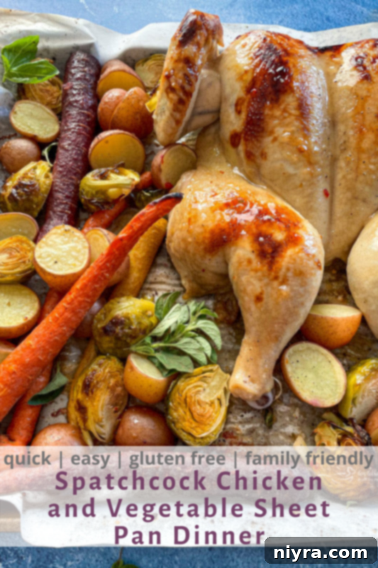 Spatchcock chicken with vegetables on baking sheet