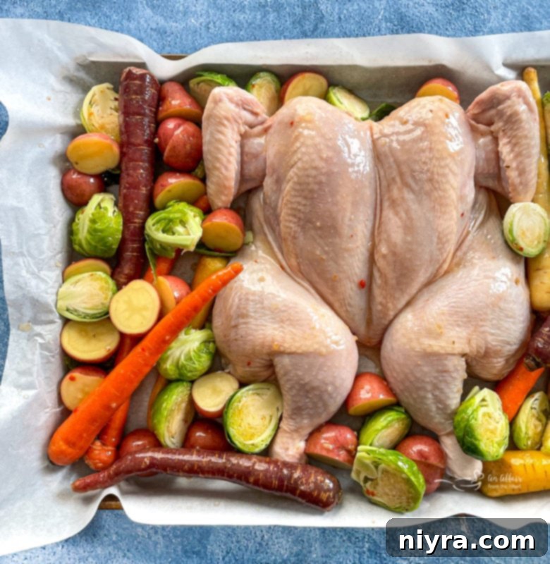 Top view of spatchcock chicken on baking sheet with carrots, Brussels sprouts, and potatoes